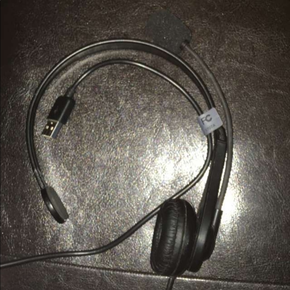 PS 4 usb headset with mic. 10ft cord